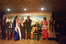 578 granada flamenco show
